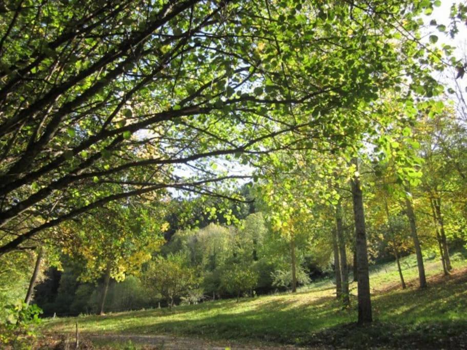 Gite Du Charpentier Vocance Luaran gambar